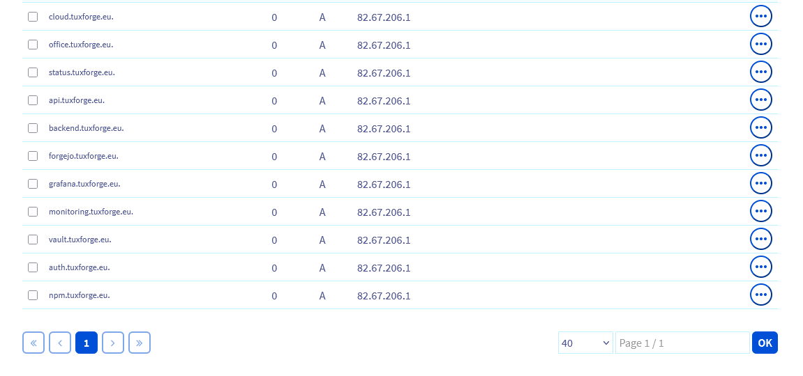 DNS sur OVH